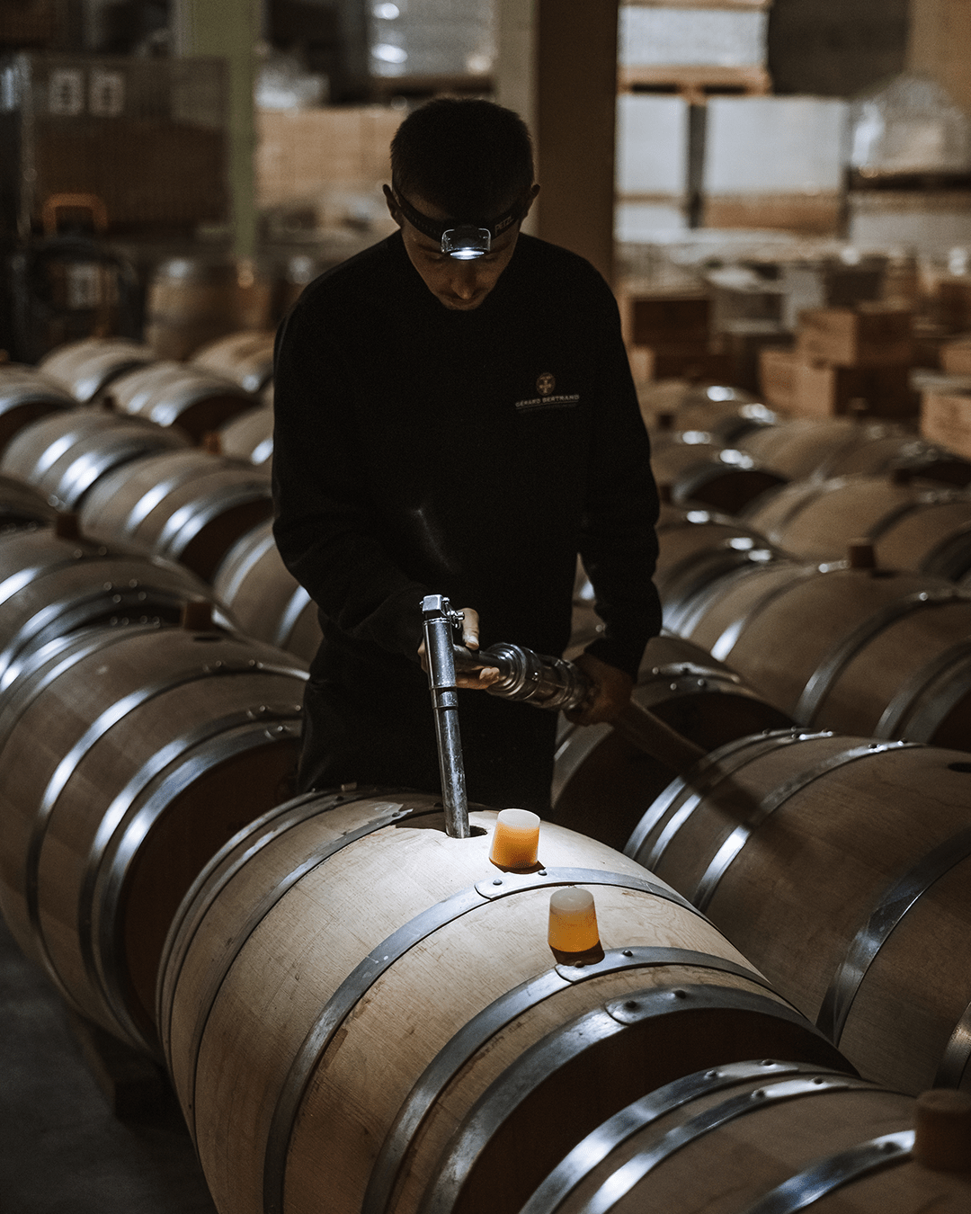 photographie d’un homme retirant le vin des cuves pour les reseaux sociaux