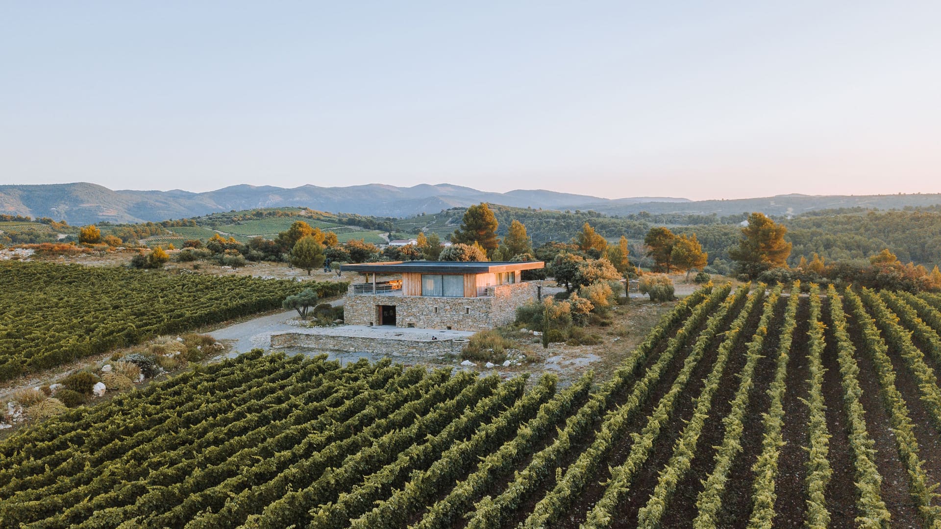 photographie par drone du domaine Gerard bertrand pour les reseaux sociaux