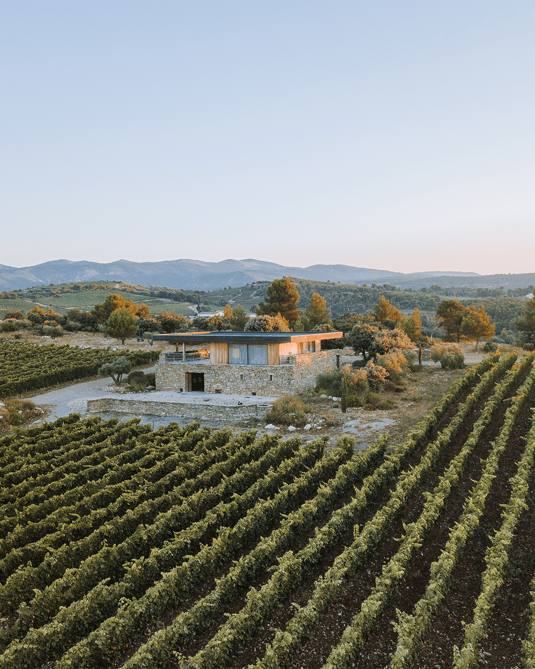 photographie par drone du domaine Clos d'Ora Gerard bertrand pour les reseaux sociaux