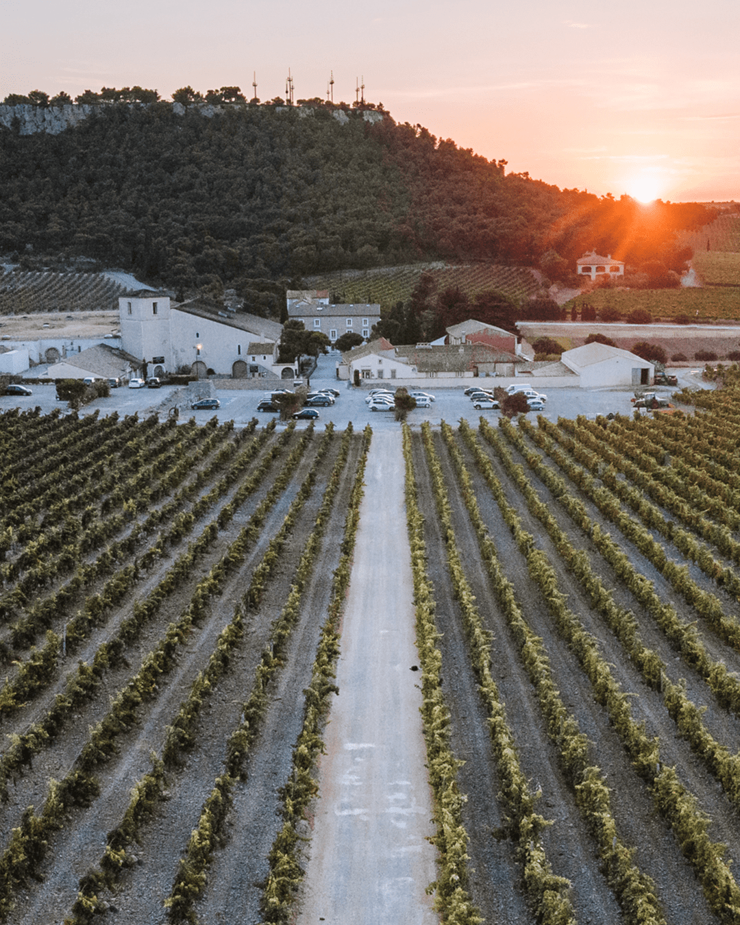 photographie par drone du domaine Gerard bertrand pour les reseaux sociaux